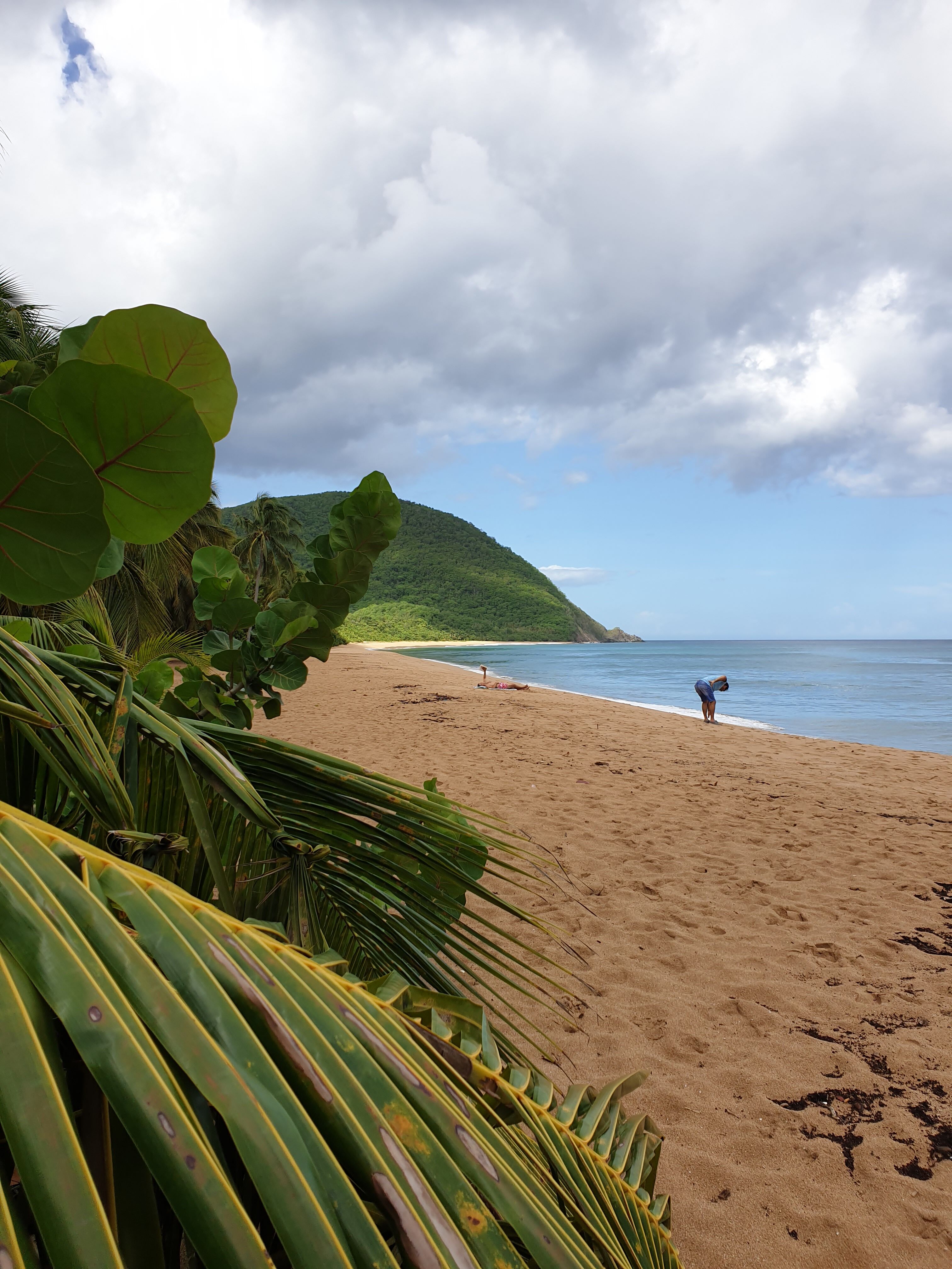Est professione pastus necem