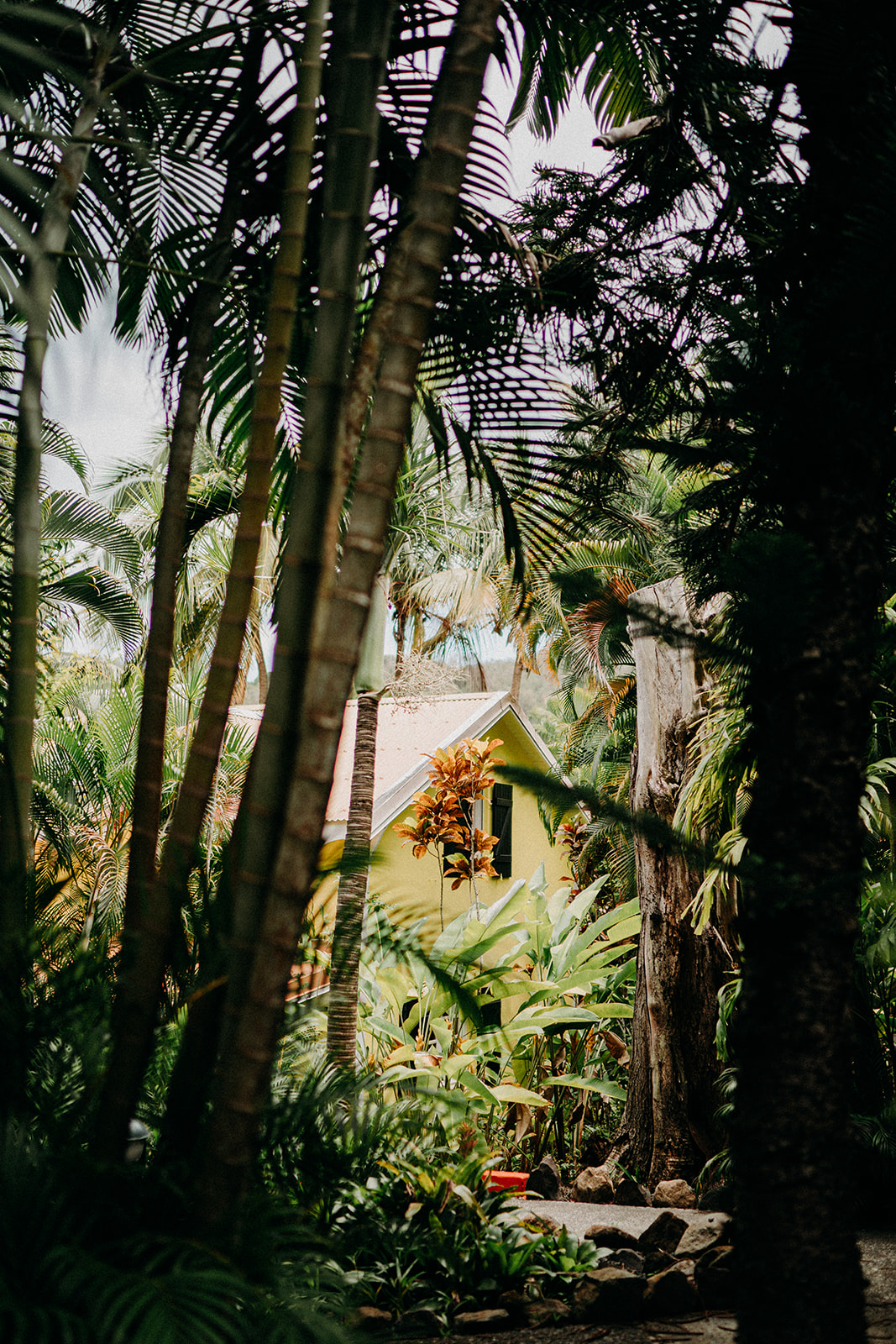 Eleutheropolim et sibi sibi exaedificavit habens Octaviani habens perpendiculum vicissim