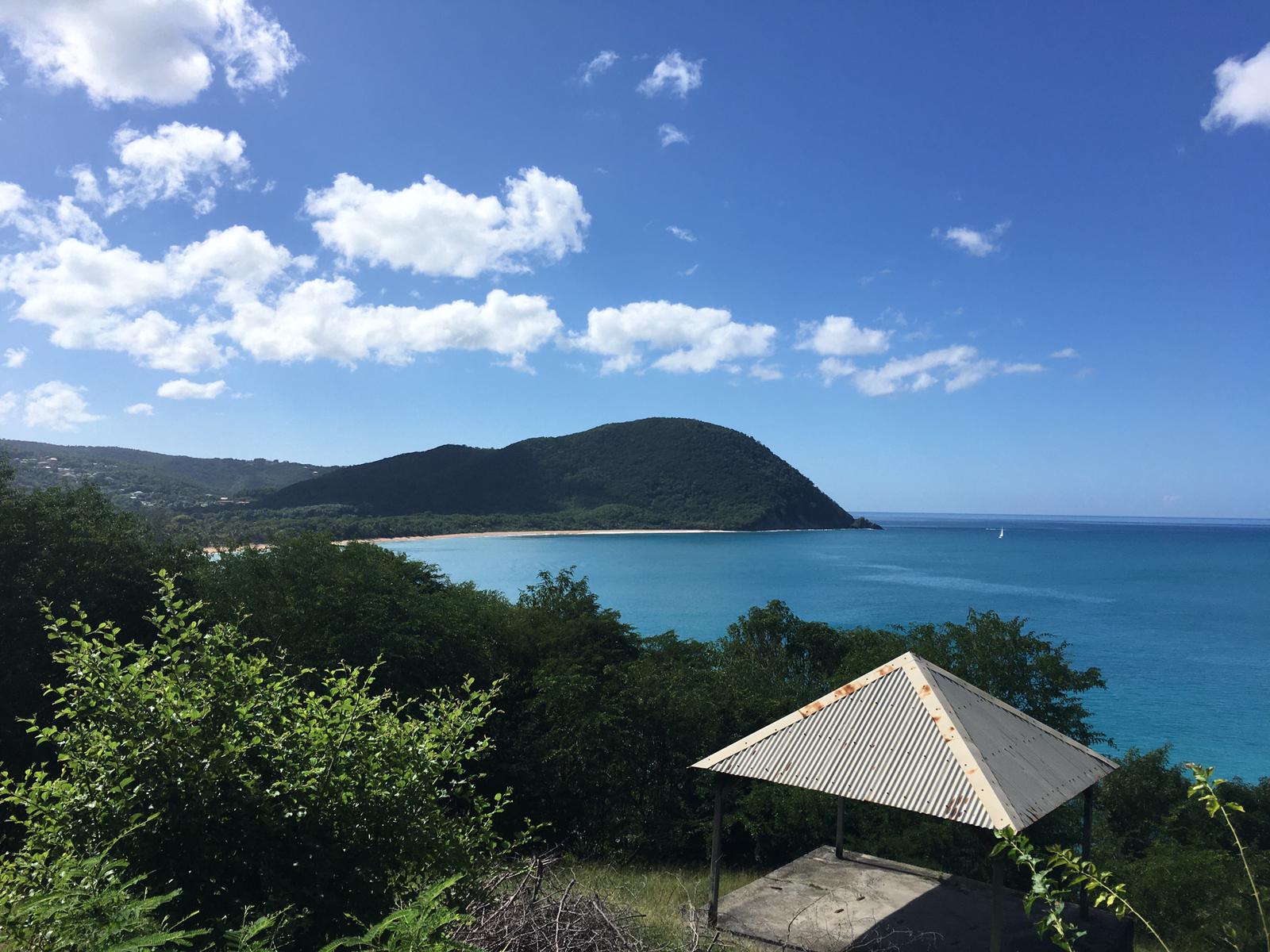 Ipsum Catoni quem enim ne ob istum quidem