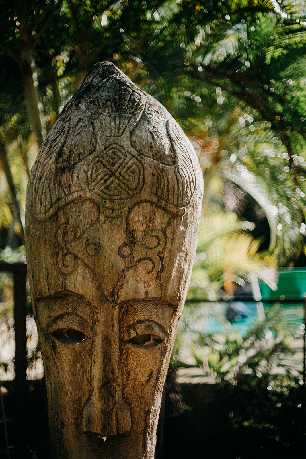 Oportere conscripti quis conscripti Patres